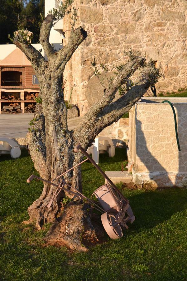 Casa Da Trapa Villa Oliveira de Azemeis Kültér fotó